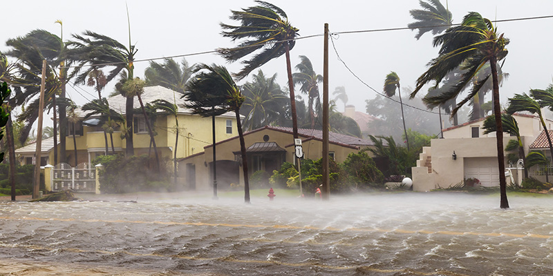 natural disaster insurance