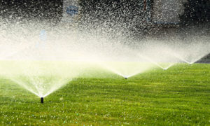 sprinklers | reduce water costs