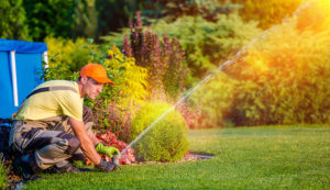 hoa landscaping maintenance