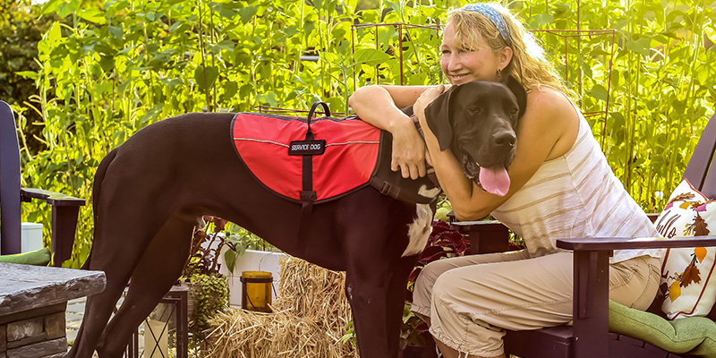 are service dogs allowed to help with anxiety