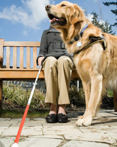 service dogs | hoa pet policy