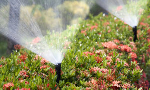 Install Sprinklers and Benches | hoa gardening
