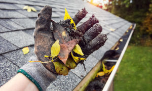 Clean The Gutters Regularly | roof maintenance