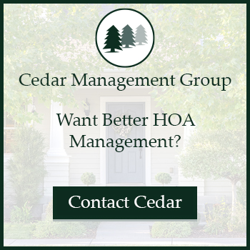 Cedar Managment Group