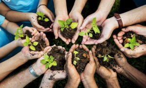 Organize a Community Gardening Day | st. patricks day in HOA
