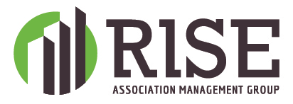 rise logo colored