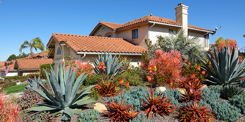 xeriscaping in hoas