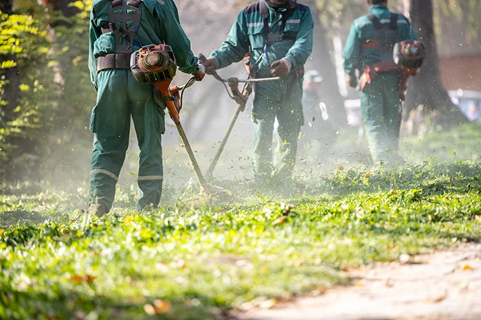 cutting grass | unsung heroes in hoa