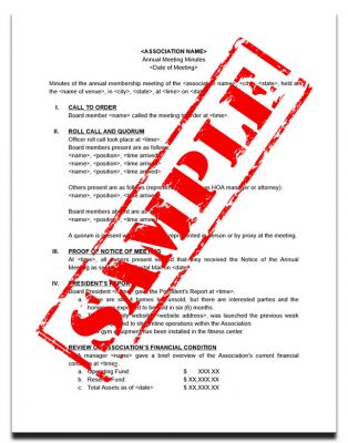 Annual Meeting Minutes Template