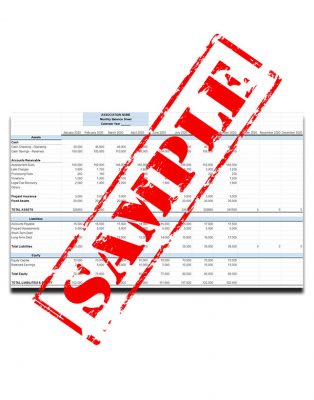 HOA Monthly Balance Sheet Template